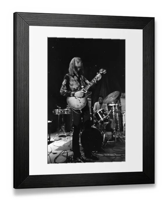 Framed Print : The Allman Brothers In South Carolina Framed Print : The Allman Brothers In South Carolina