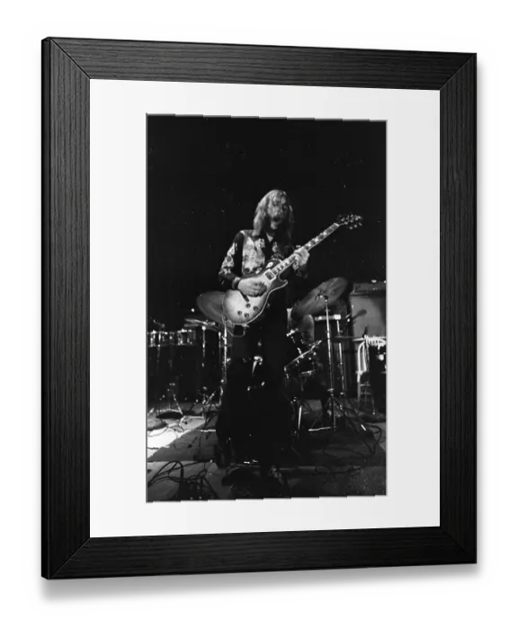 Framed Print : The Allman Brothers In South Carolina Framed Print : The Allman Brothers In South Carolina