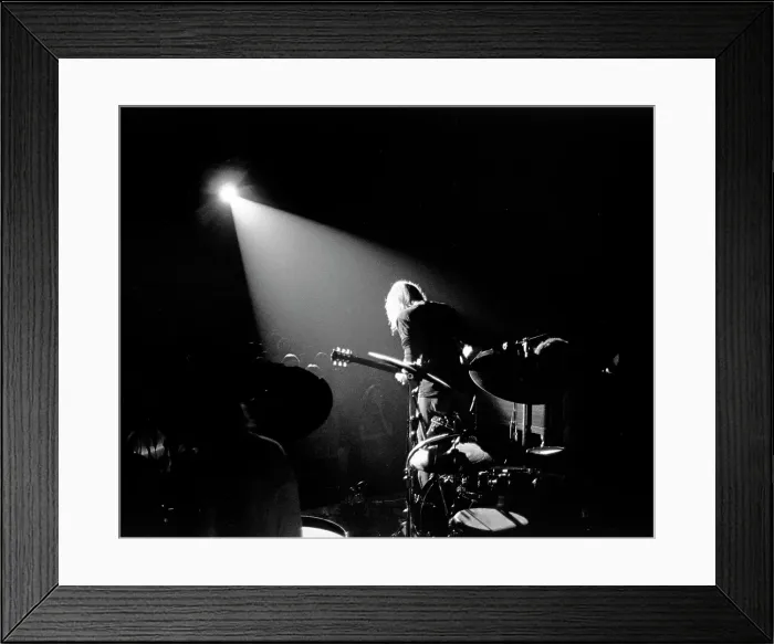 Framed Print : The Allman Brothers In South Carolina Framed Print : The Allman Brothers In South Carolina