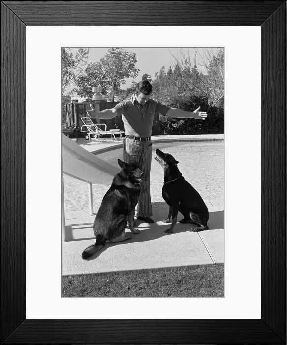Framed Print : William Shatner, Canadian Actor