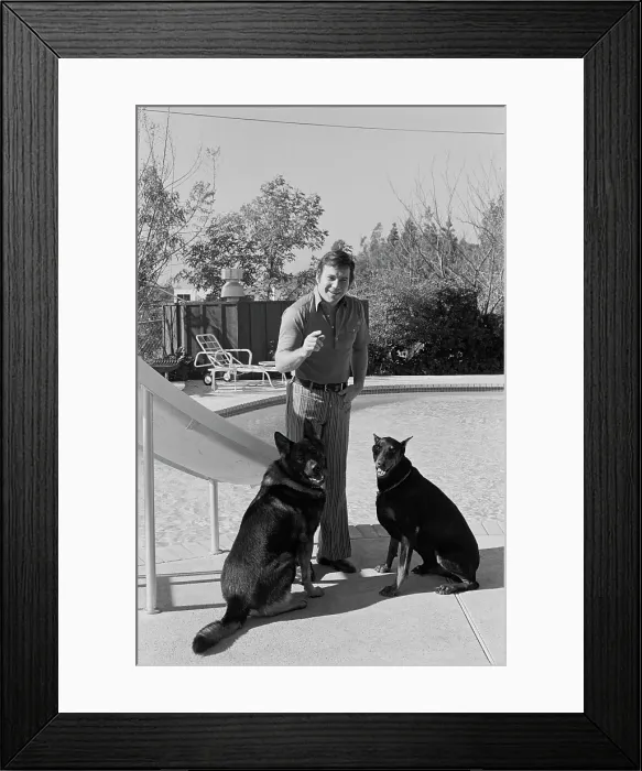 Framed Print : William Shatner, Canadian Actor Framed Print : William Shatner, Canadian Actor