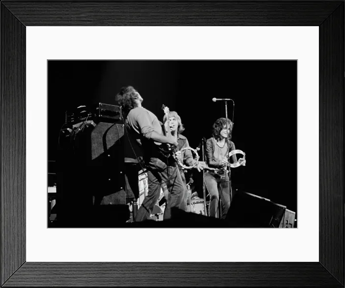 Framed Print : Rare Earth Framed Print : Rare Earth
