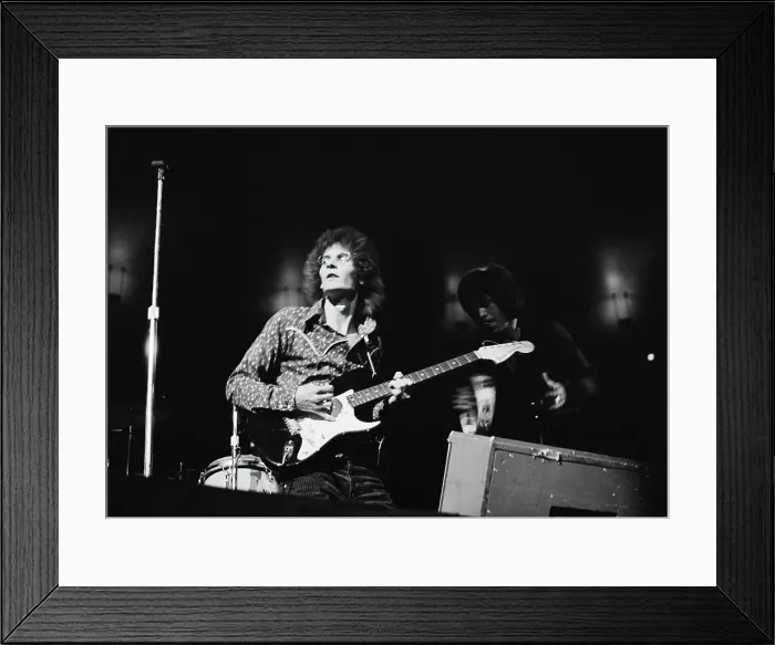 Framed Print : Rare Earth Framed Print : Rare Earth