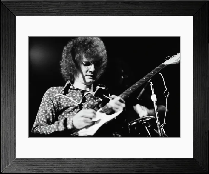 Framed Print : Rare Earth Framed Print : Rare Earth
