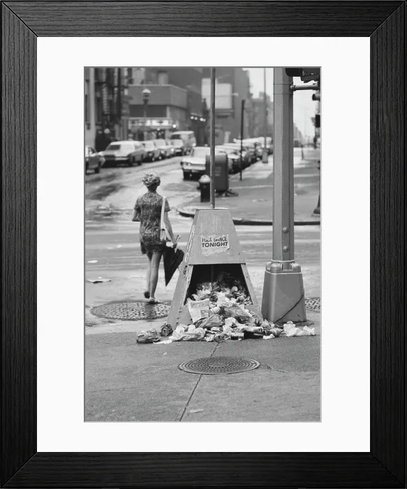 Framed Print : New York Litter Framed Print : New York Litter