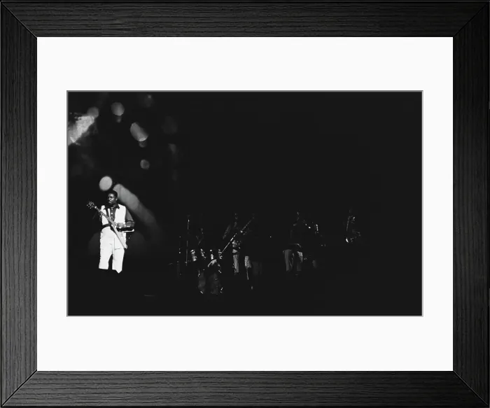 Framed Print : Albert King Framed Print : Albert King