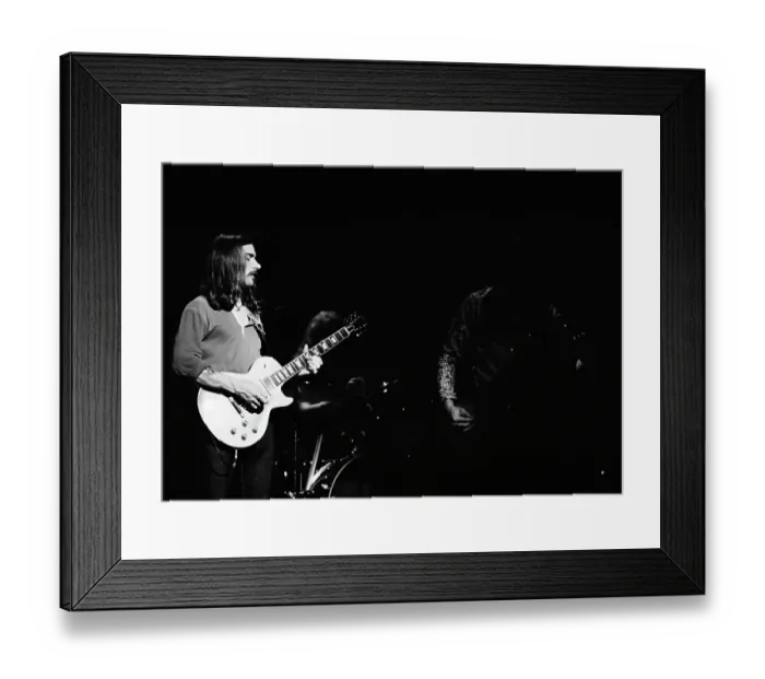 Framed Print : The Allman Brothers Band
