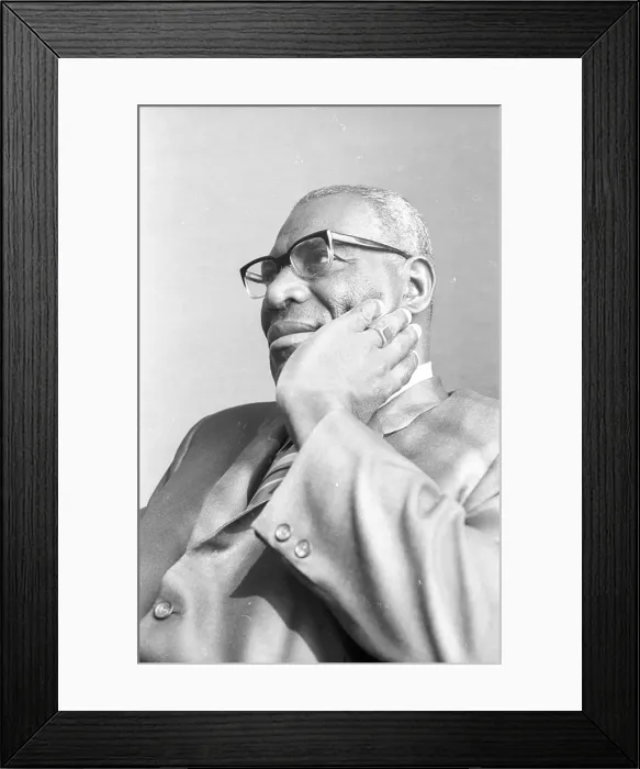 Framed Print : Photo of Wolf Howlin Framed Print : Photo of Wolf Howlin