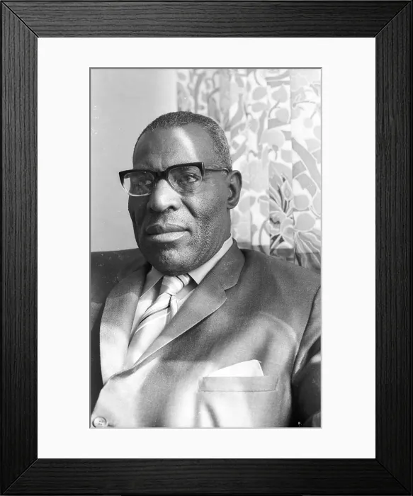 Framed Print : Photo of Wolf Howlin Framed Print : Photo of Wolf Howlin