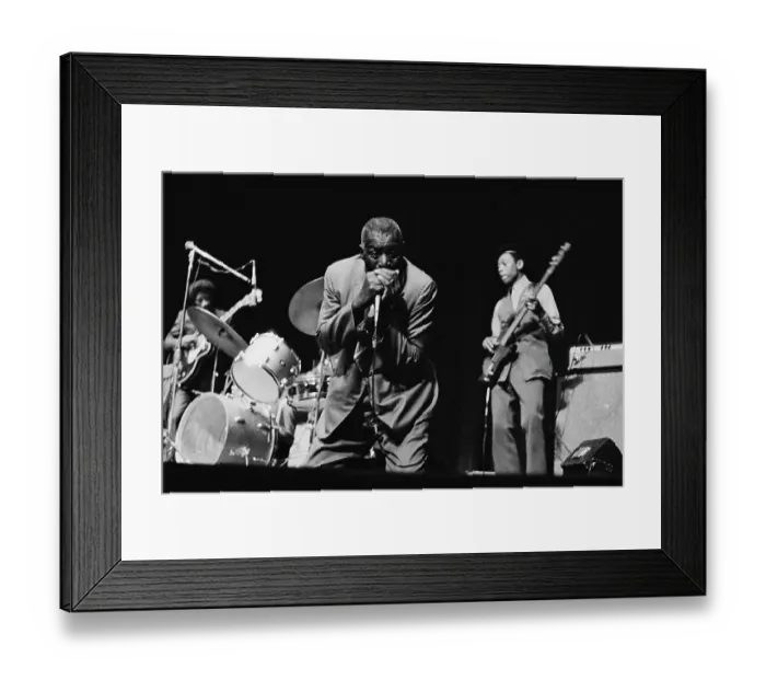 Framed Print : Howlin Wolf Framed Print : Howlin Wolf