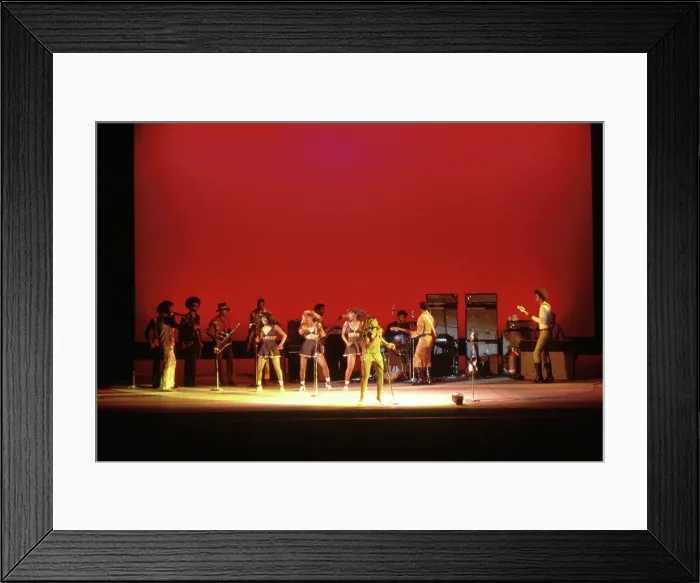 Framed Print : Ike & Tina Turner At The Greek Framed Print : Ike & Tina Turner At The Greek