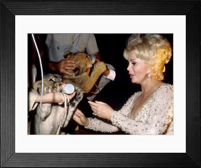 Framed Print : Zsa Zsa Gabor Framed Print : Zsa Zsa Gabor