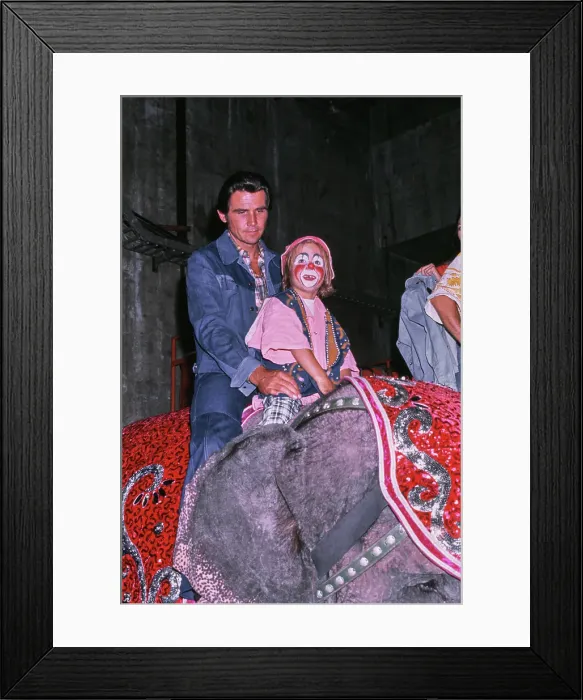 Framed Print : A Day At The Circus Framed Print : A Day At The Circus