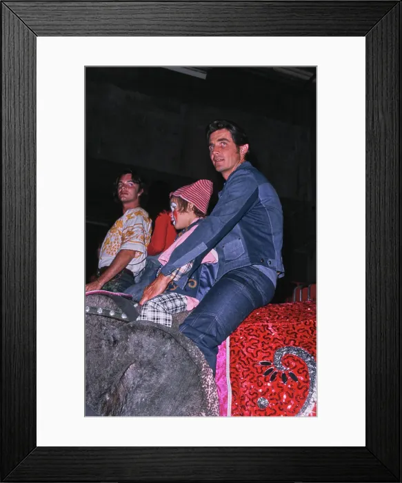 Framed Print : A Day At The Circus Framed Print : A Day At The Circus
