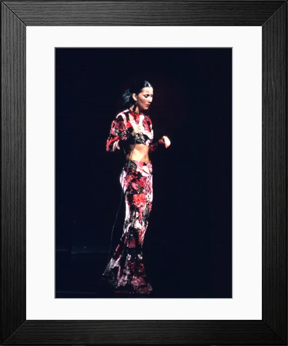 Framed Print : Cher Performing Framed Print : Cher Performing