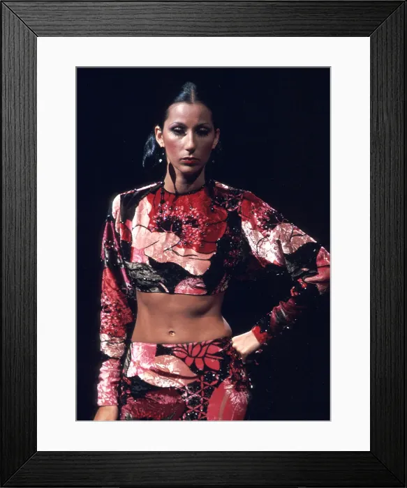 Framed Print : Cher Performing Framed Print : Cher Performing