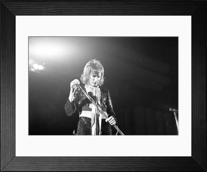 Framed Print : Faces At The Hollywood Bowl Framed Print : Faces At The Hollywood Bowl