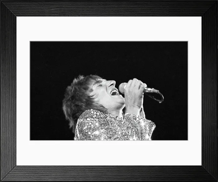 Framed Print : Faces At The Hollywood Bowl Framed Print : Faces At The Hollywood Bowl