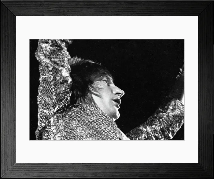 Framed Print : Faces At The Hollywood Bowl Framed Print : Faces At The Hollywood Bowl