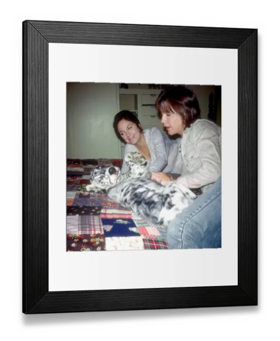 Framed Print : David Cassidy At Home