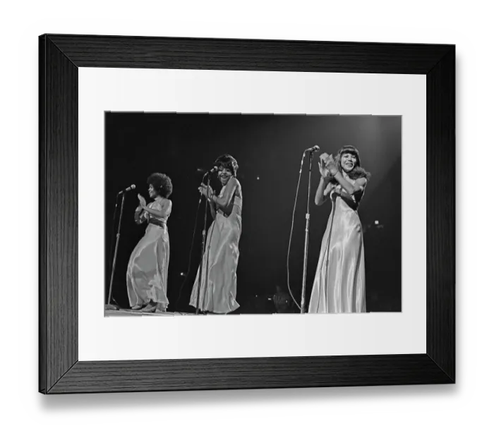 Framed Print : Richard Nader's Rock & Roll Revival Concert Framed Print : Richard Nader's Rock & Roll Revival Concert