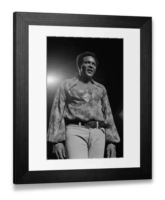Framed Print : Richard Nader's Rock & Roll Revival Concert Framed Print : Richard Nader's Rock & Roll Revival Concert