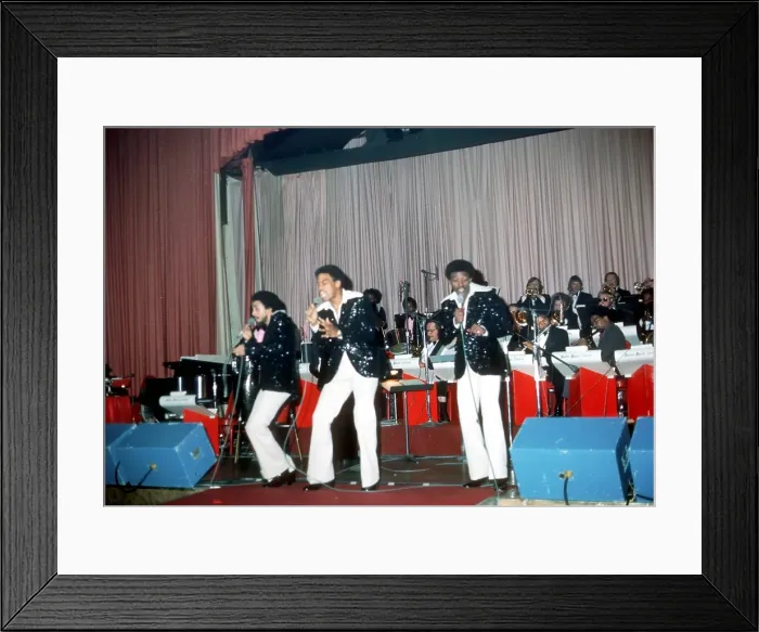 Framed Print : Photo of Main Ingredient