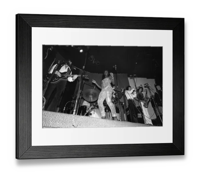 Framed Print : Sylvester Performing At The Whisky A-Go-Go Framed Print : Sylvester Performing At The Whisky A-Go-Go