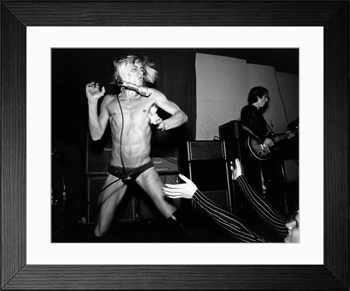 Framed Print : Iggy Pop Performing At The Whisky Framed Print : Iggy Pop Performing At The Whisky