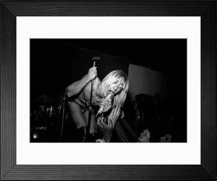 Framed Print : Iggy Pop Performing At The Whisky Framed Print : Iggy Pop Performing At The Whisky