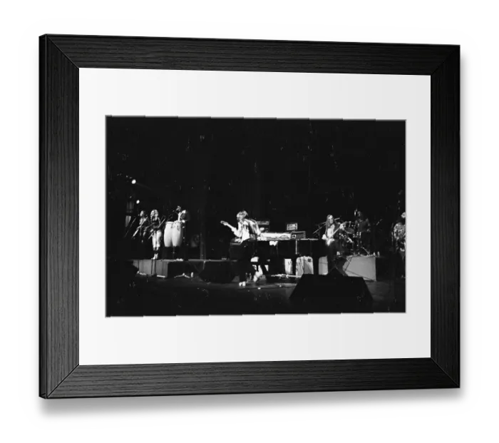 Framed Print : Steely Dan Performing Framed Print : Steely Dan Performing