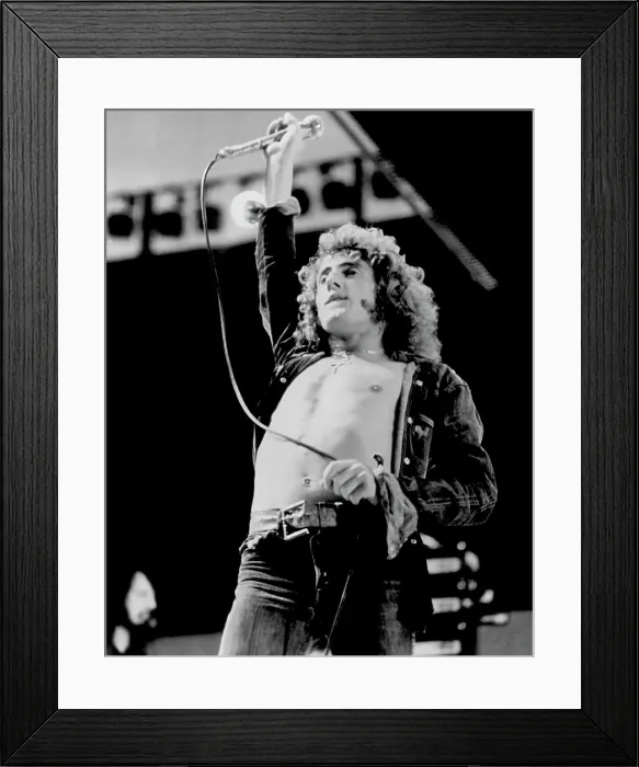 Framed Print : The Who Singer Performing Framed Print : The Who Singer Performing