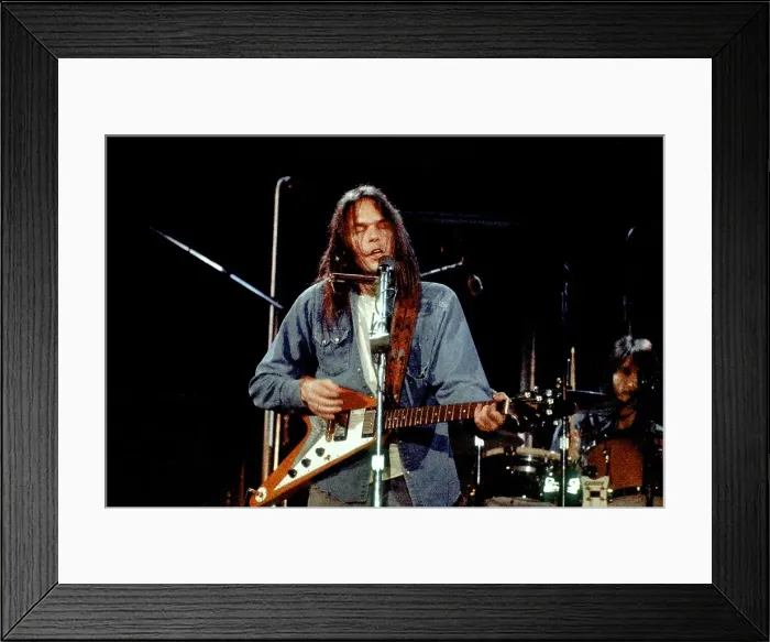 Framed Print : Neil Young And The Stray Gators