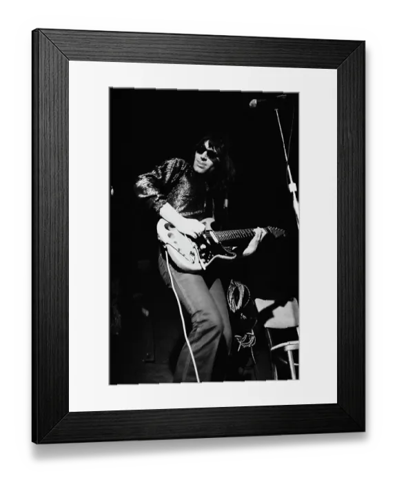 Framed Print : Argent At My Father's Place Framed Print : Argent At My Father's Place