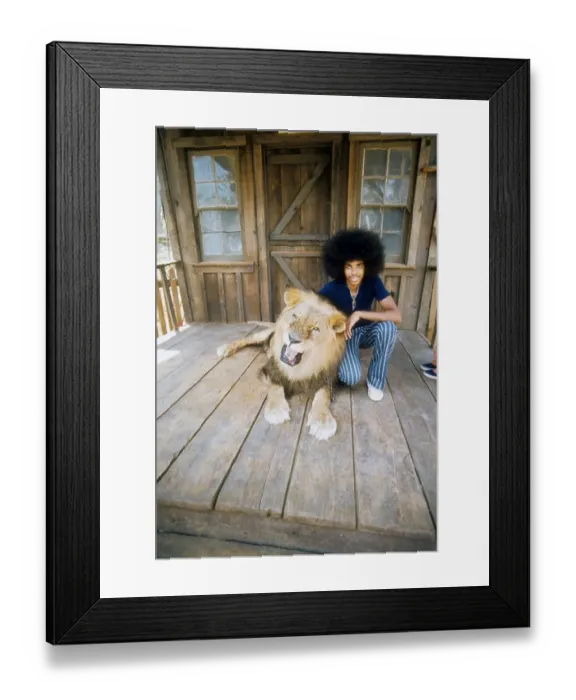 Framed Print : The Sylvers
