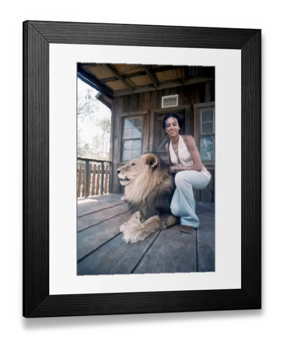 Framed Print : The Sylvers Framed Print : The Sylvers