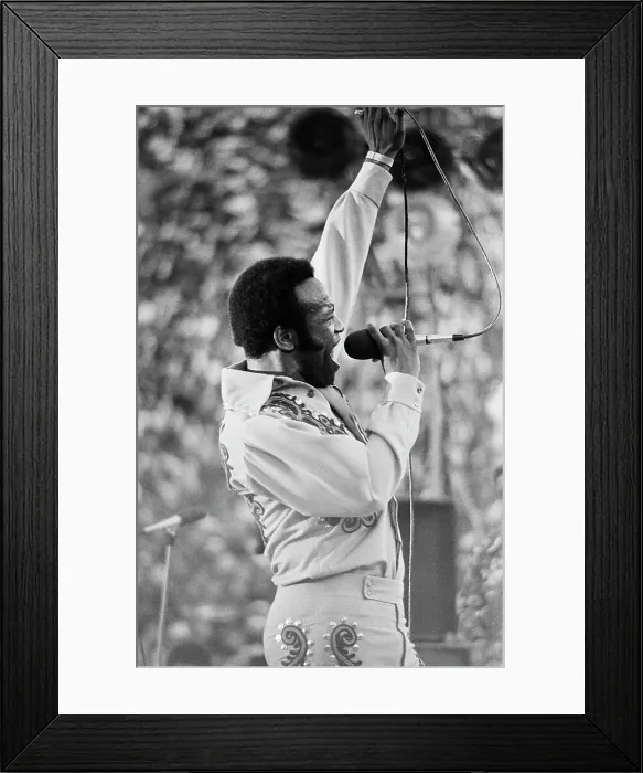 Framed Print : 1973 Watts Summer Festival - Concert Framed Print : 1973 Watts Summer Festival - Concert