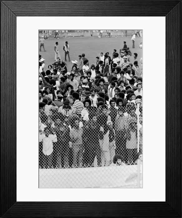 Framed Print : 1973 Watts Summer Festival - Concert Framed Print : 1973 Watts Summer Festival - Concert