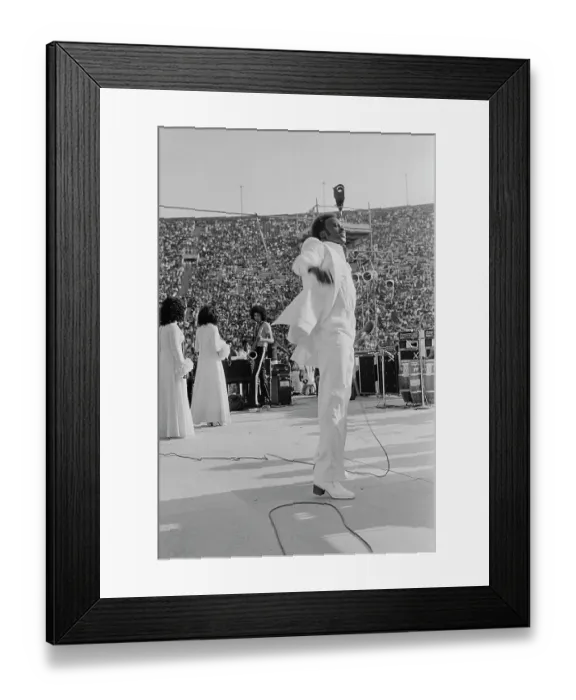 Framed Print : 1973 Watts Summer Festival - Concert Framed Print : 1973 Watts Summer Festival - Concert