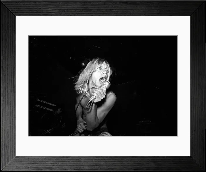 Framed Print : Iggy Pop Performing At The Whisky Framed Print : Iggy Pop Performing At The Whisky