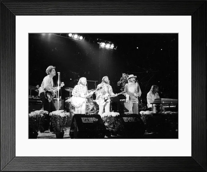 Framed Print : Beach Boys Performing Framed Print : Beach Boys Performing