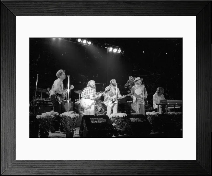 Framed Print : Beach Boys Performing Framed Print : Beach Boys Performing