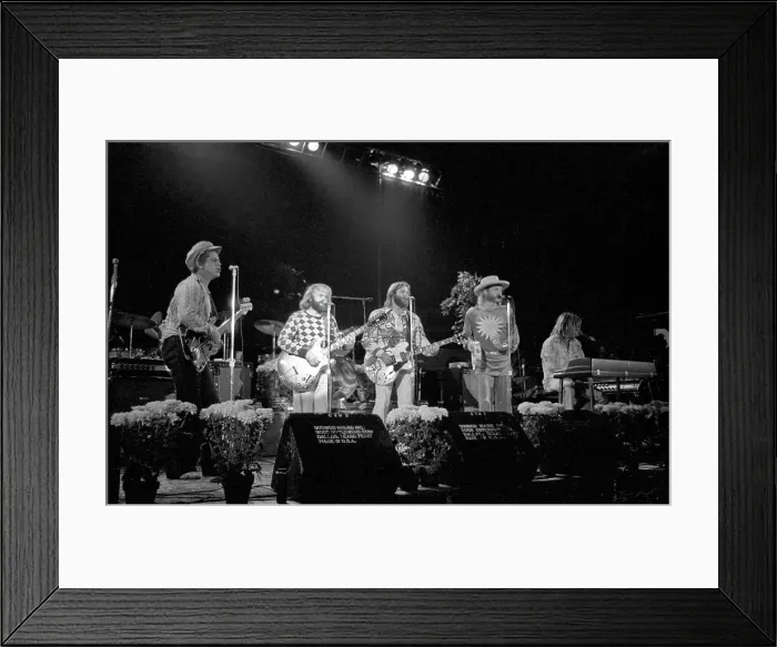 Framed Print : Beach Boys Performing Framed Print : Beach Boys Performing