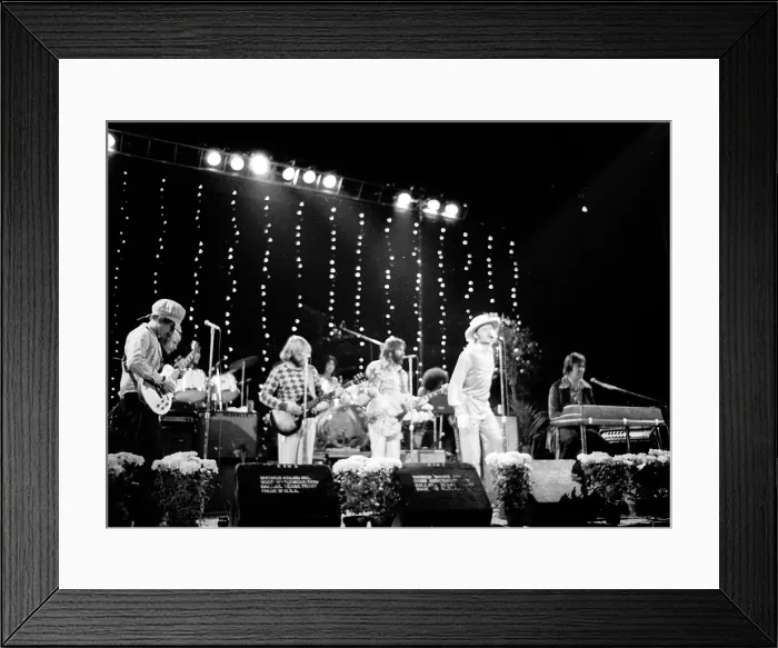 Framed Print : Beach Boys Performing Framed Print : Beach Boys Performing