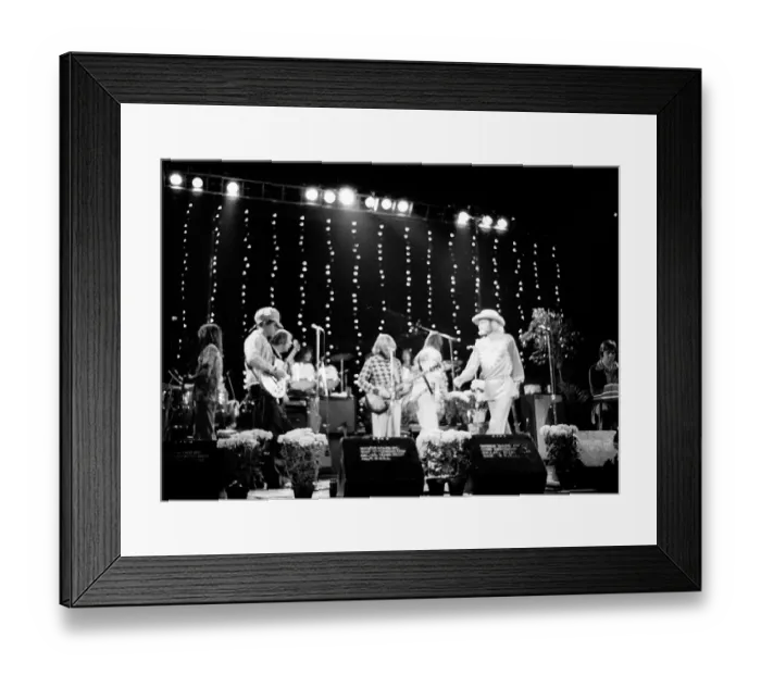 Framed Print : Beach Boys Performing Framed Print : Beach Boys Performing