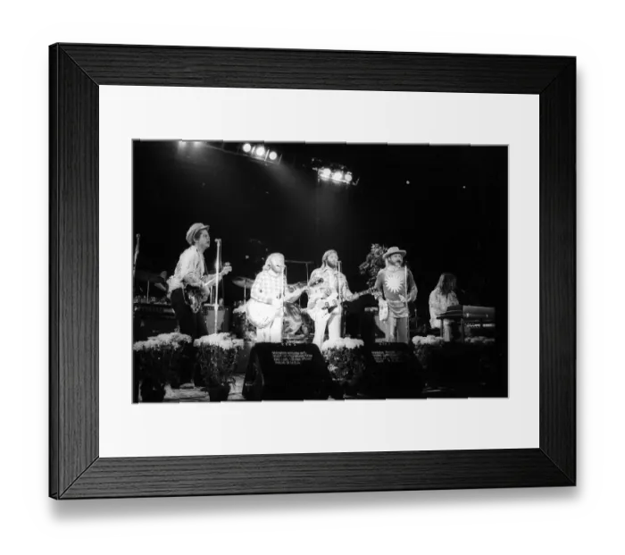 Framed Print : Beach Boys Performing Framed Print : Beach Boys Performing
