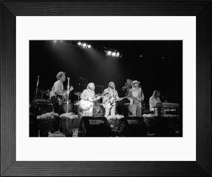 Framed Print : Beach Boys Performing Framed Print : Beach Boys Performing