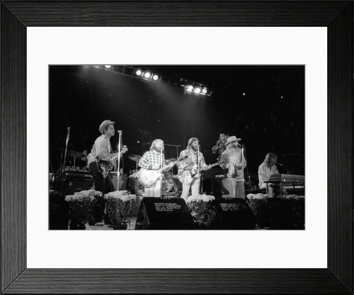 Framed Print : Beach Boys Performing Framed Print : Beach Boys Performing