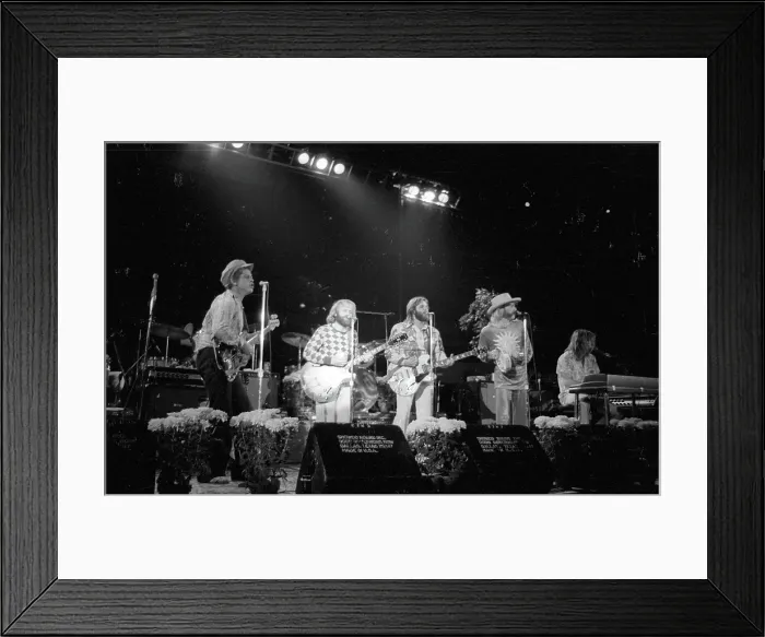 Framed Print : Beach Boys Performing Framed Print : Beach Boys Performing
