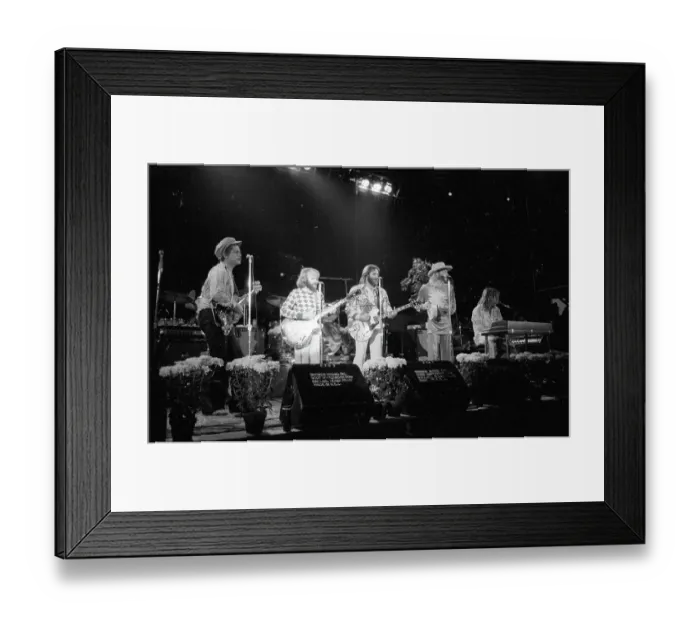 Framed Print : Beach Boys Performing Framed Print : Beach Boys Performing